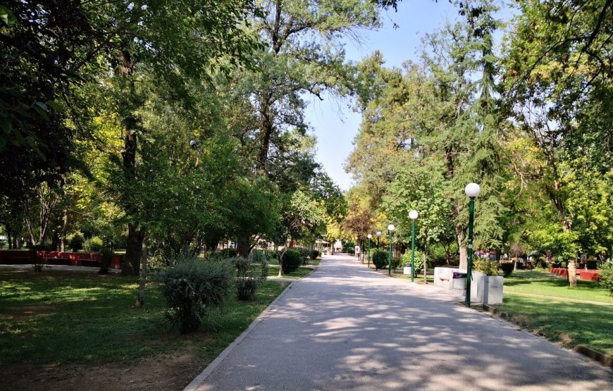 Nea Anchialos National Airport to Karditsa