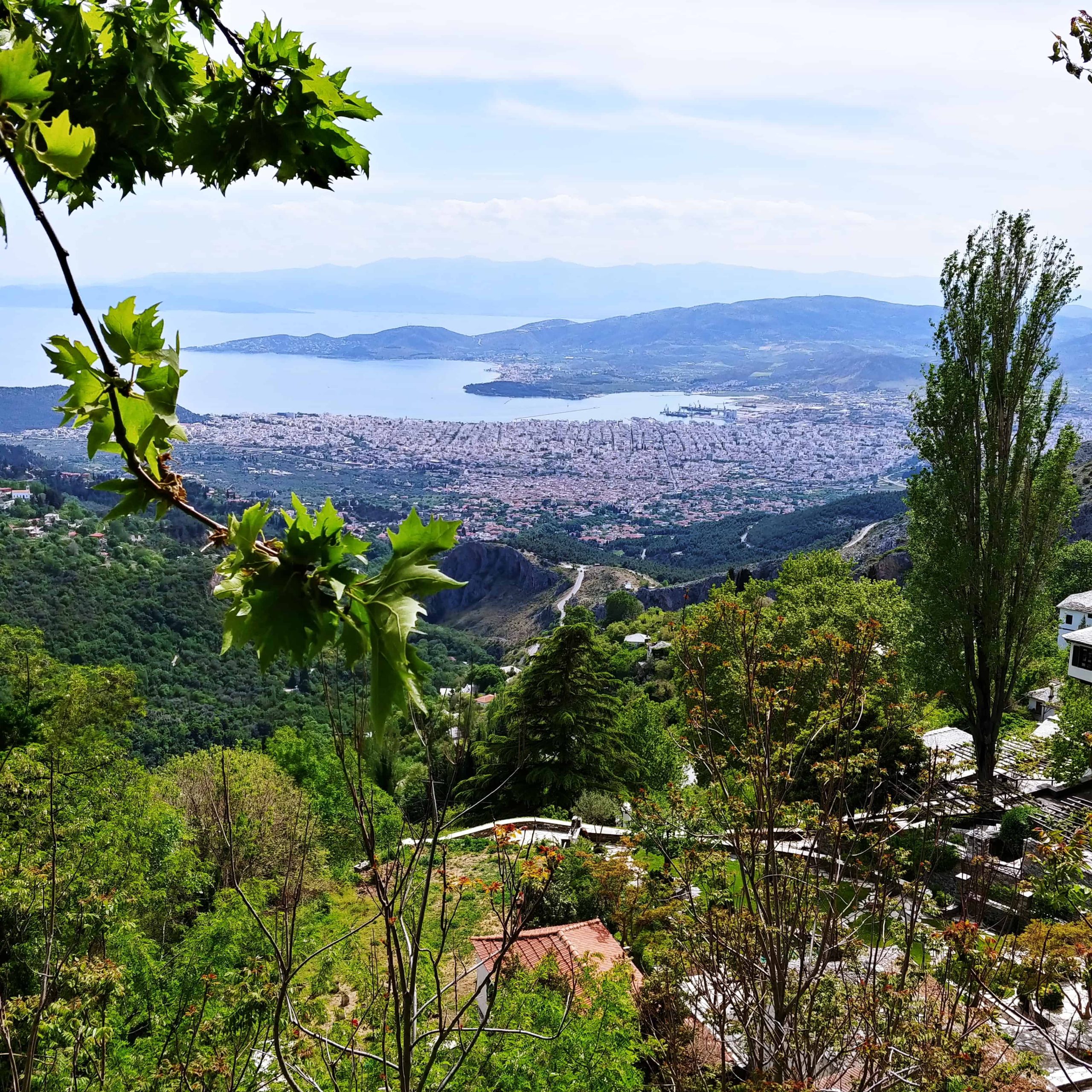 μακρινίτσας