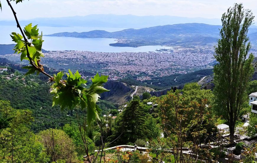 Tour of the traditional villages of Portaria and Makrynitsa.